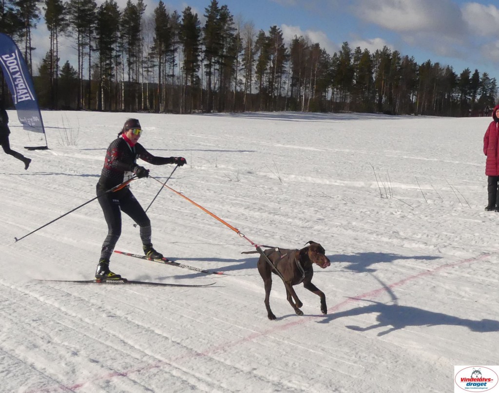 P1090282_cr_resultat.jpg