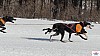 P1090162_cr_resultat.jpg