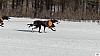 P1090162_resultat.jpg