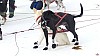 P1090187_resultat.jpg