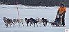 P1090212_cr_resultat.jpg