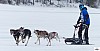P1090213_cr_resultat.jpg