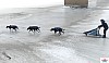 P1090217_cr_resultat.jpg