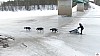 P1090217_resultat.jpg