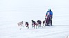 P1090237_resultat.jpg