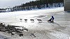 P1090242_resultat.jpg