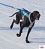 P1090287_cr_resultat.jpg