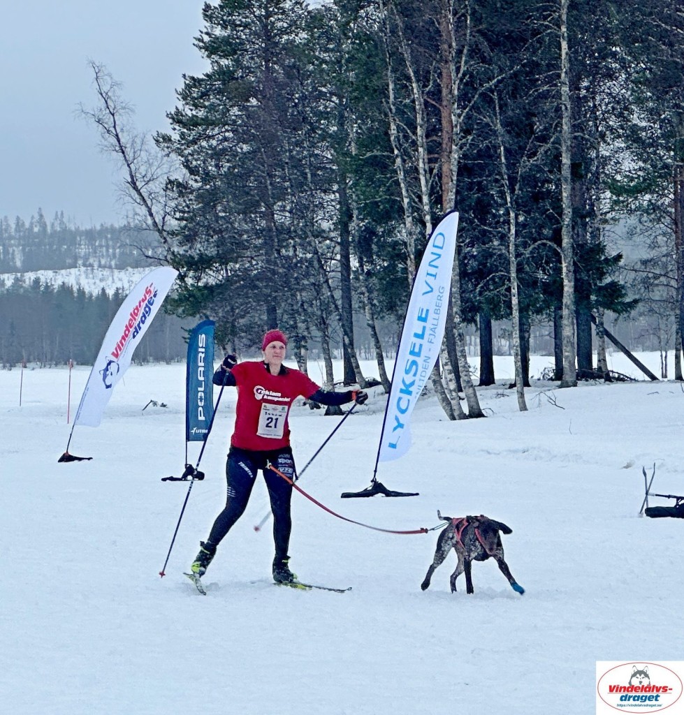 IMG_5163_resultat.jpg