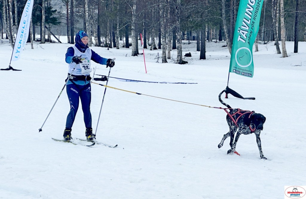 IMG_5164_resultat.jpg