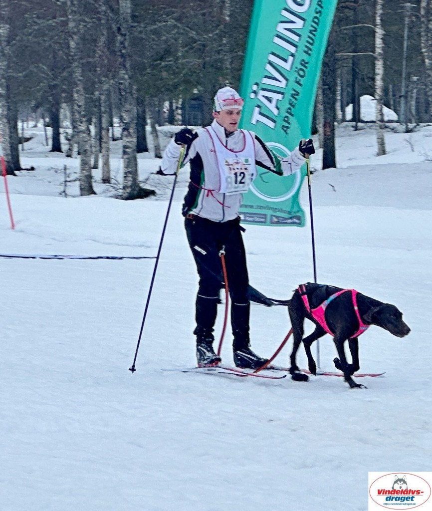 IMG_5167_resultat.jpg