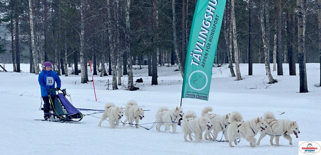 IMG_5171_resultat.jpg