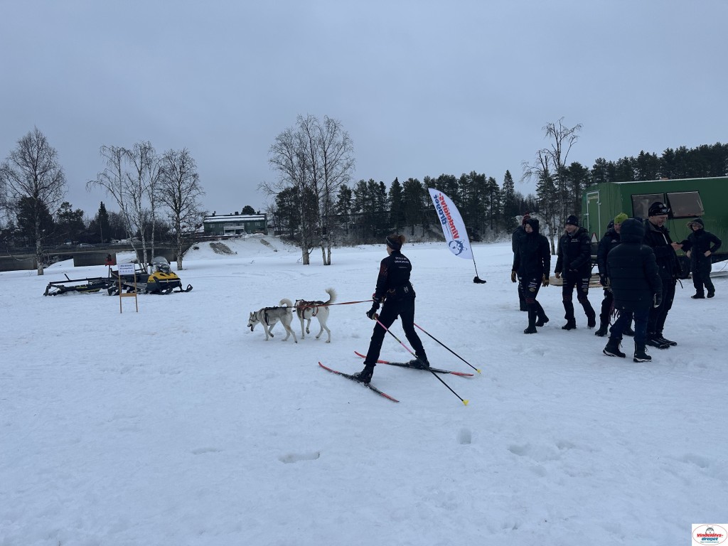 IMG_5172_resultat.jpg