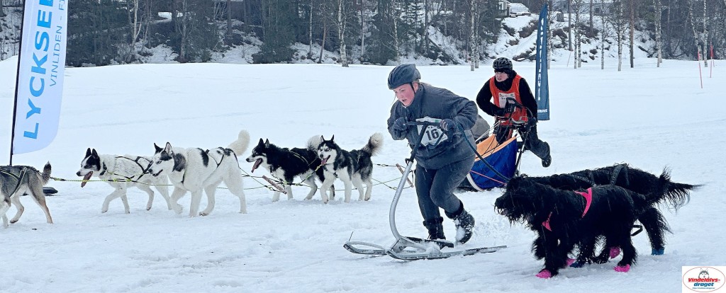 IMG_5175_resultat.jpg