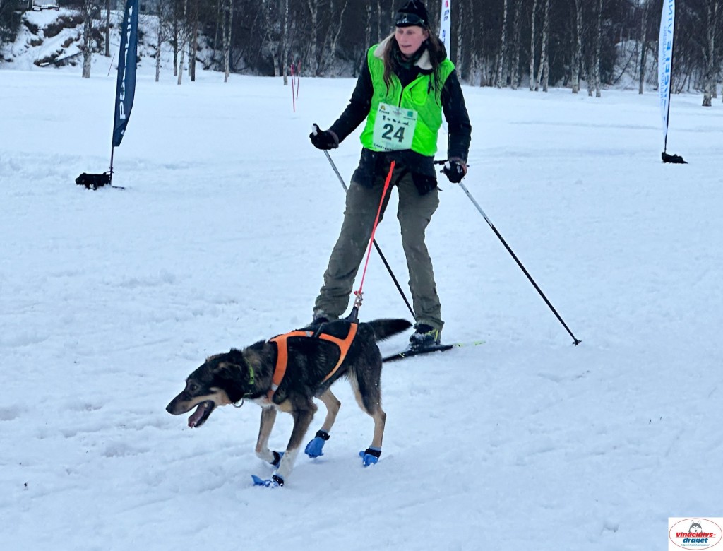 IMG_5177_resultat.jpg