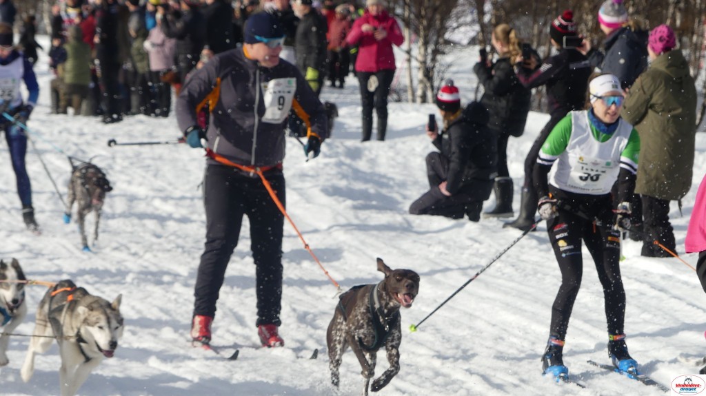 P1100297_resultat.jpg