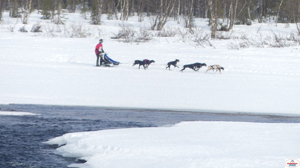 P1100311_resultat.jpg