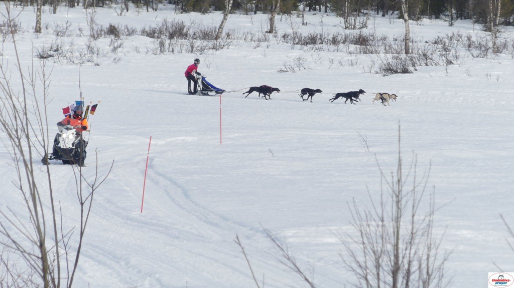 P1100312_resultat.jpg