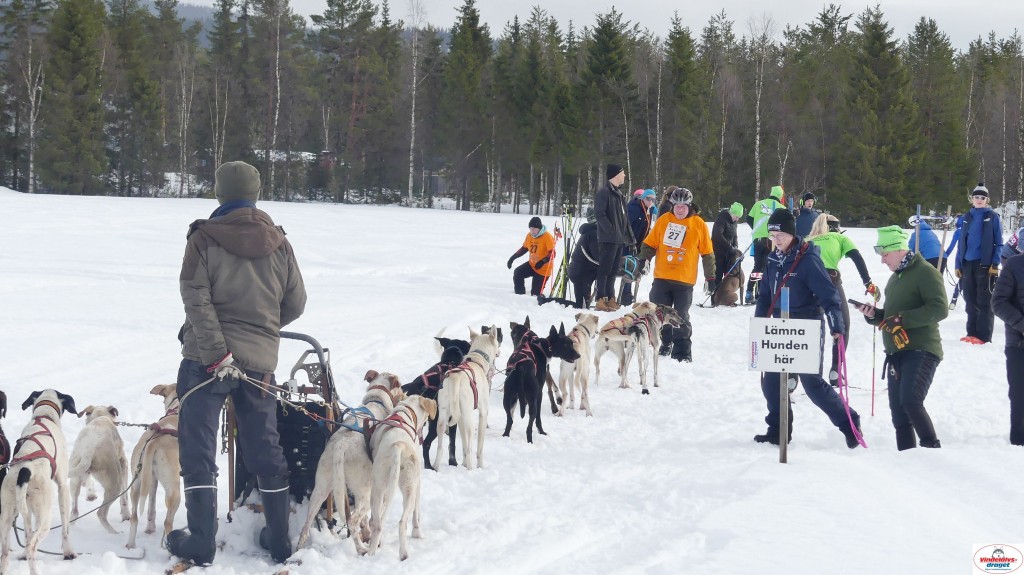 P1100325_resultat.jpg