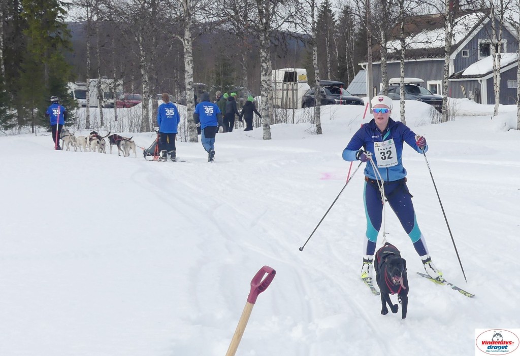 P1100327_resultat.jpg