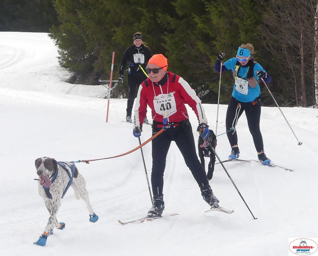 P1100333_resultat.jpg