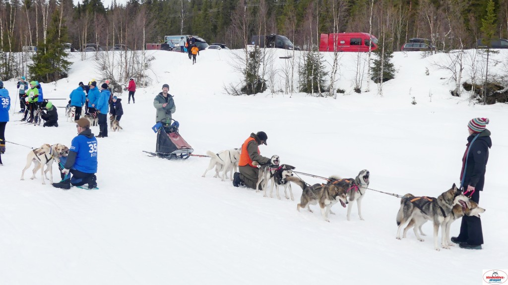 P1100346_resultat.jpg