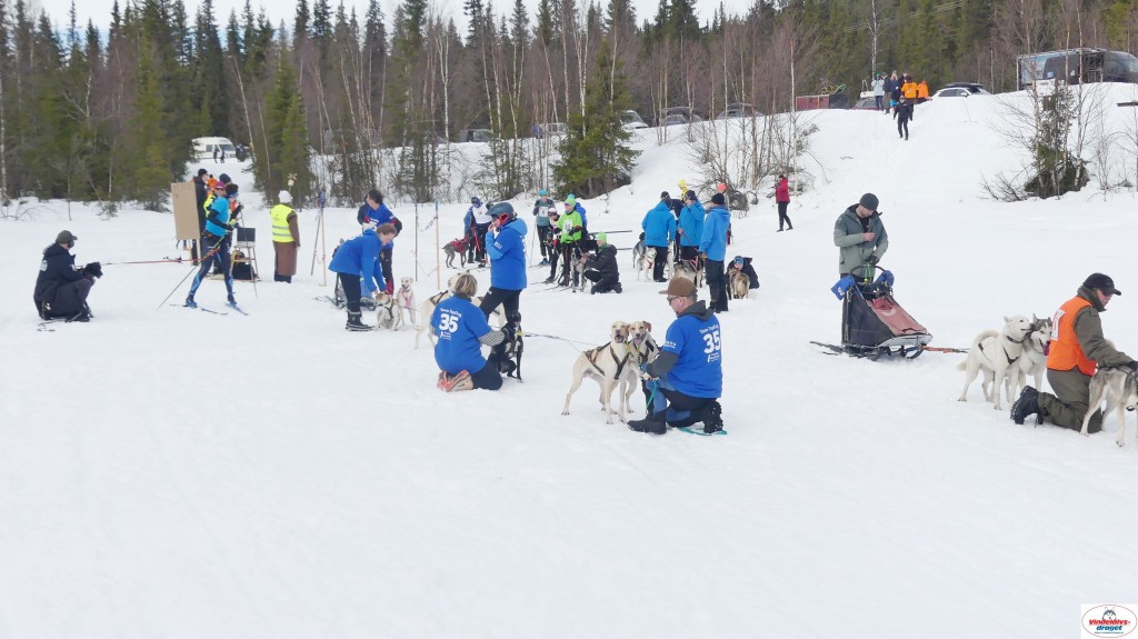 P1100347_resultat.jpg