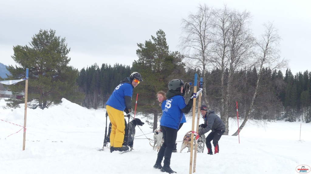 P1100386_resultat.jpg