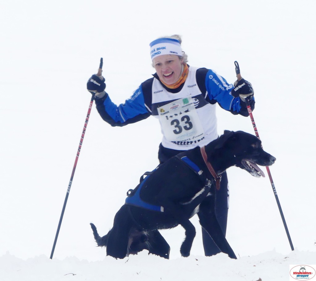 P1100414_resultat.jpg