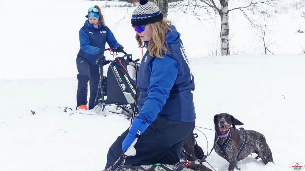 P1100417_resultat.jpg