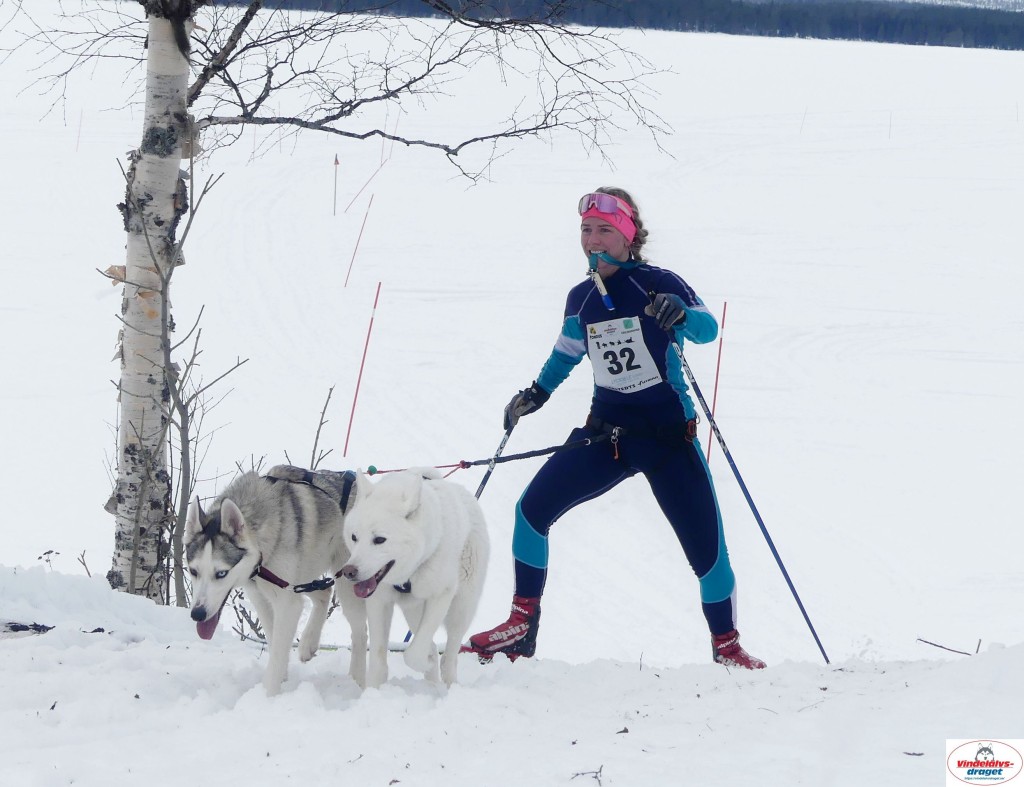 P1100436_resultat.jpg