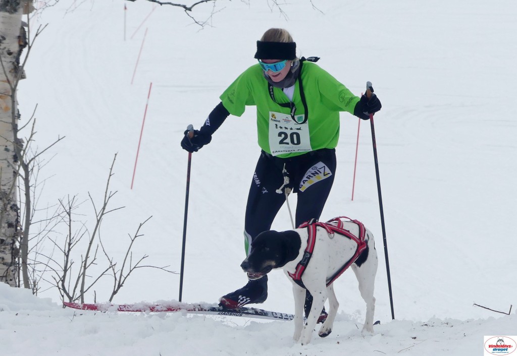 P1100439_resultat.jpg