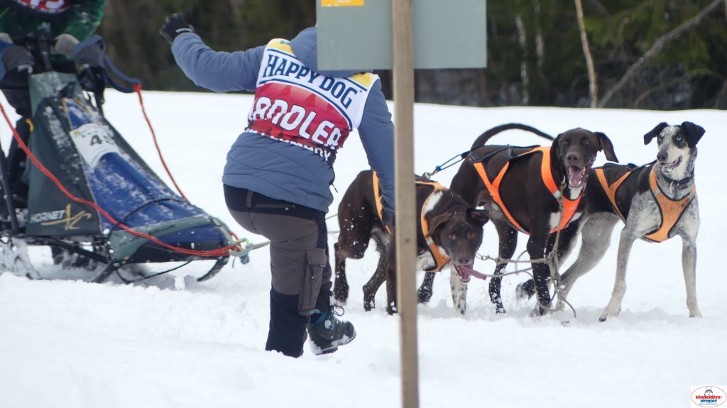 P1100442_resultat.jpg