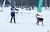 IMG_5164_resultat.jpg