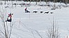 P1100312_resultat.jpg