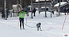 P1100323_resultat.jpg