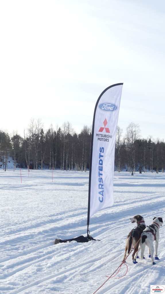 P1100472_resultat.jpg