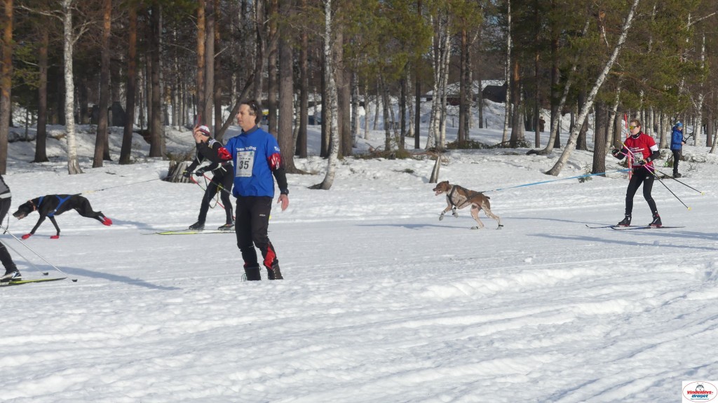 P1100486_resultat.jpg