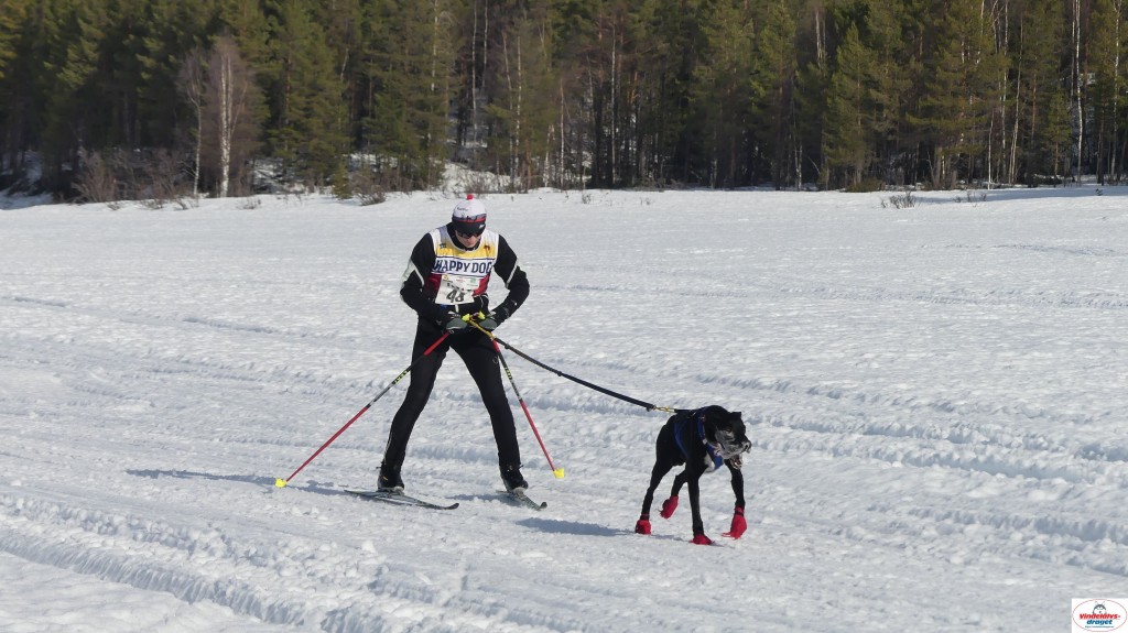 P1100499_resultat.jpg