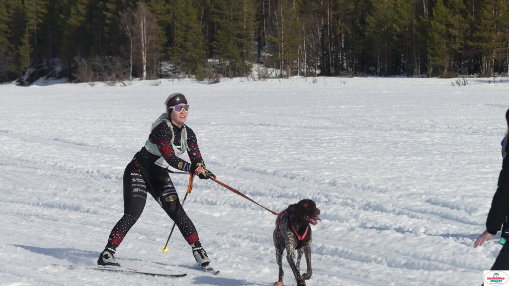 P1100505_resultat.jpg