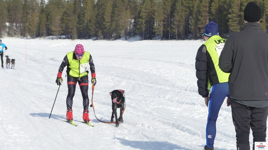 P1100509_resultat.jpg