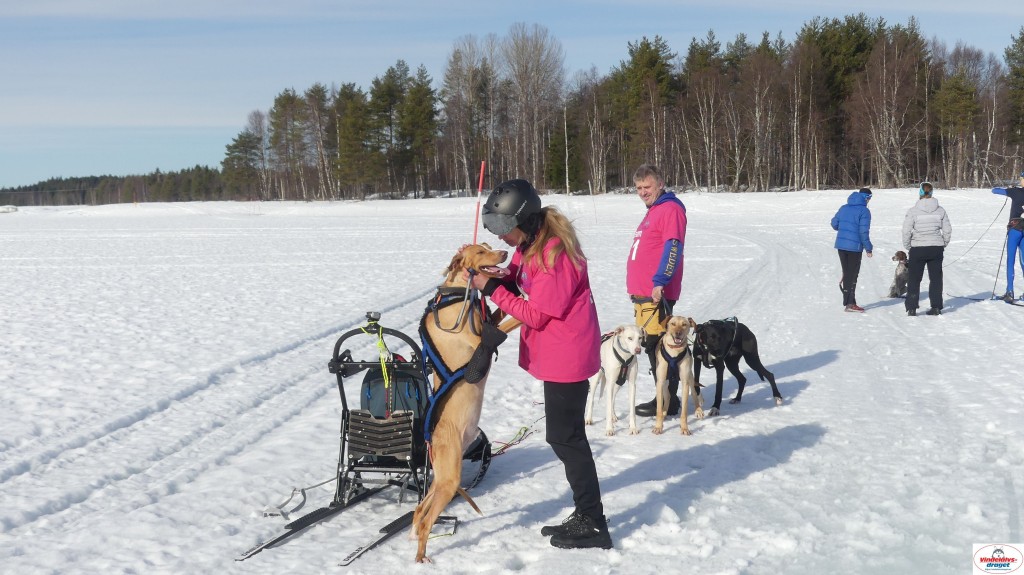 P1100524_resultat.jpg