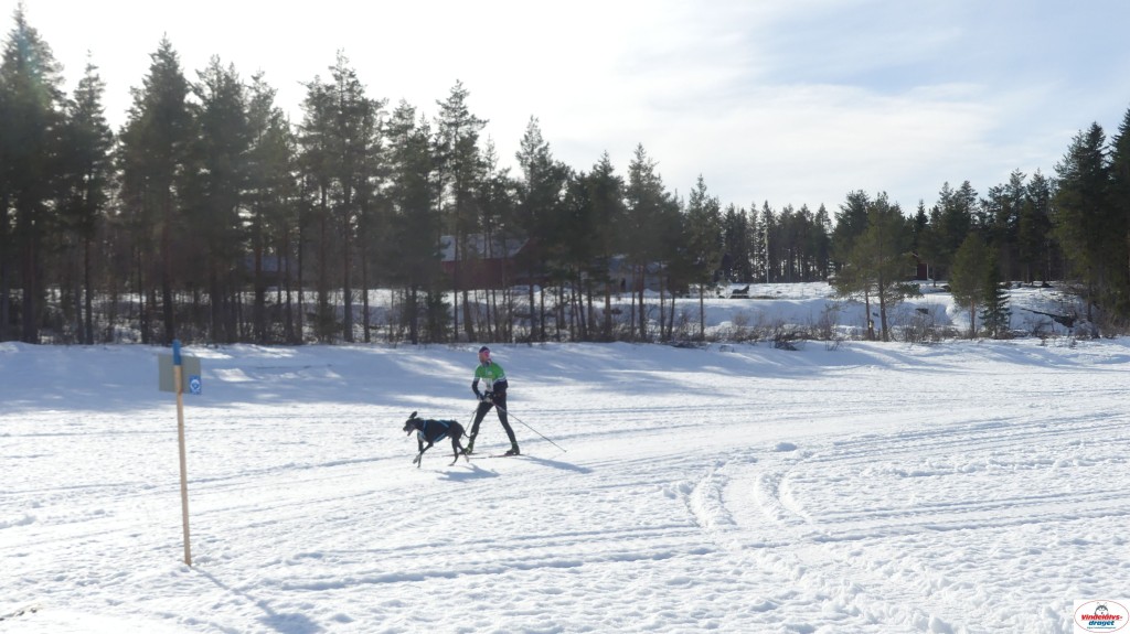 P1100526_resultat.jpg