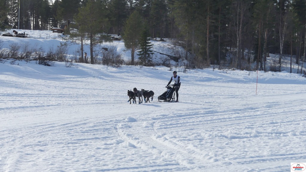 P1100527_resultat.jpg