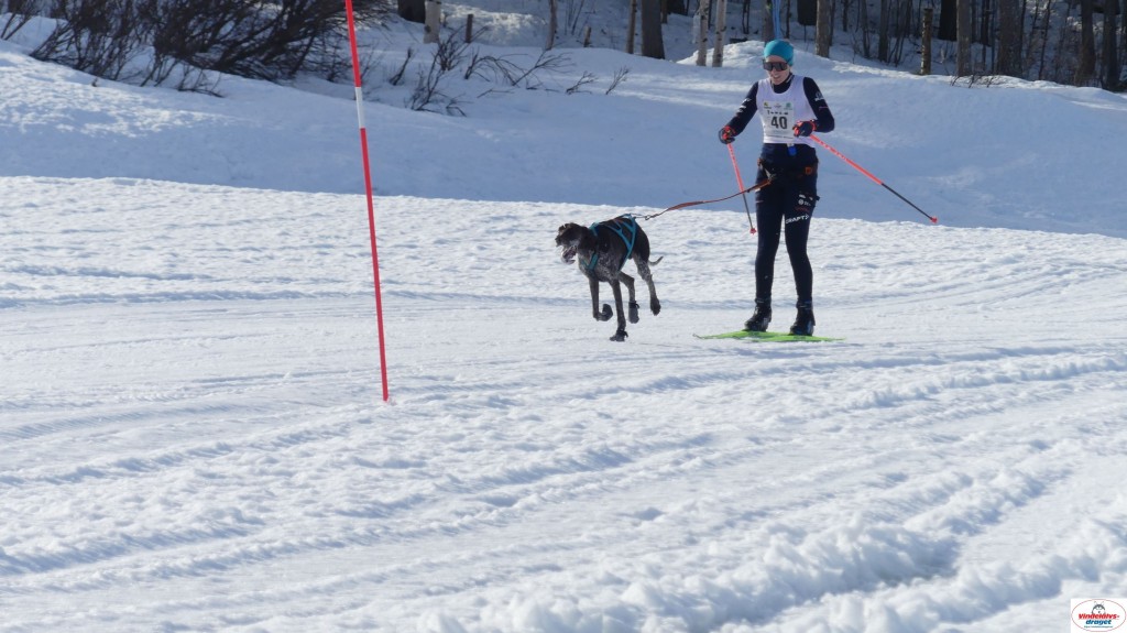 P1100533_resultat.jpg
