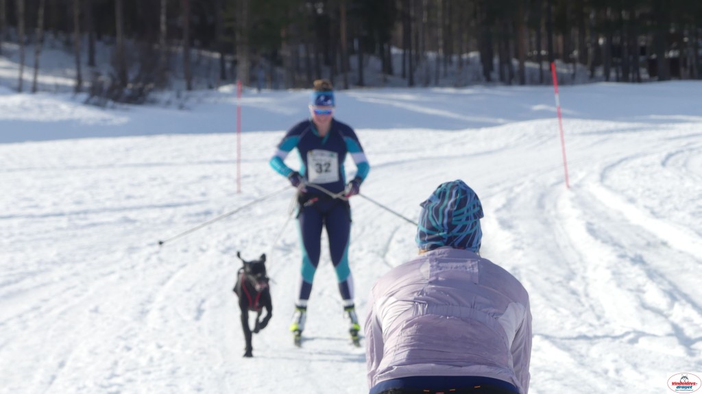 P1100539_resultat.jpg