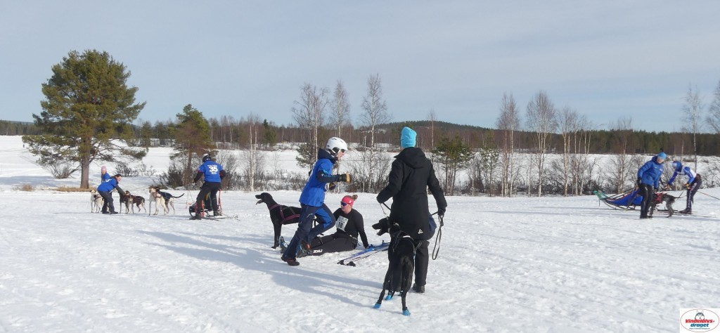 P1100551_resultat.jpg