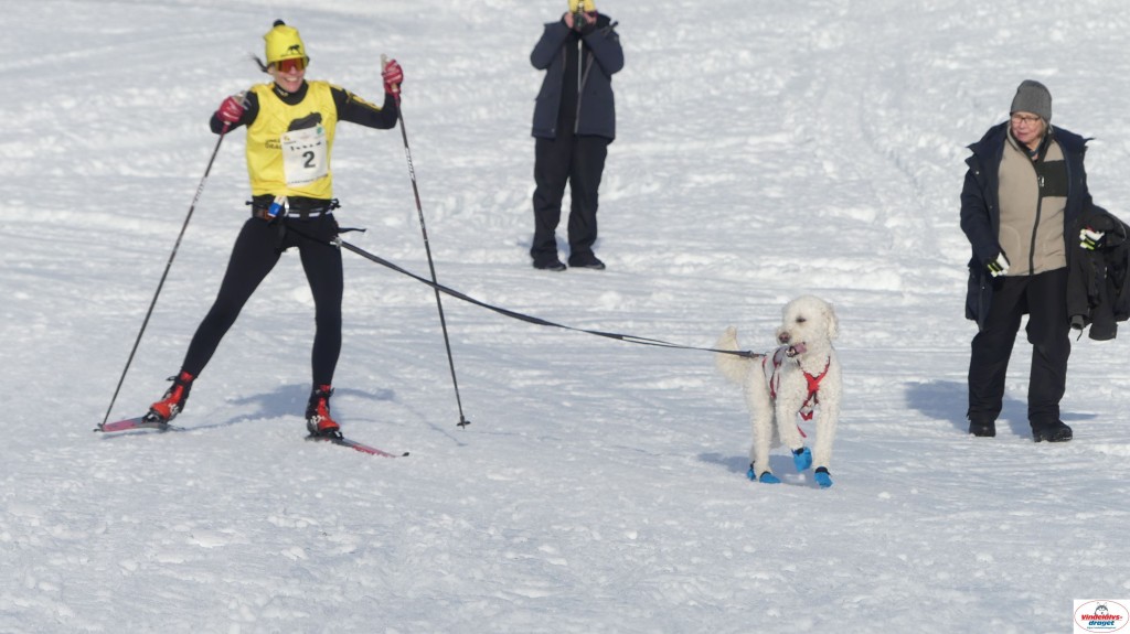 P1100563_resultat.jpg