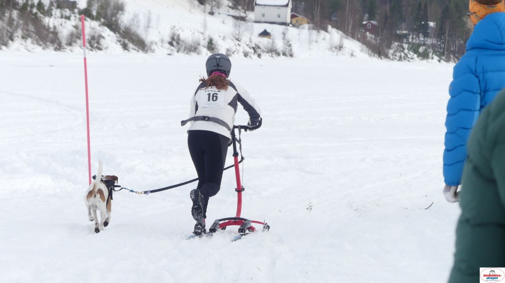 P1100575_resultat.jpg