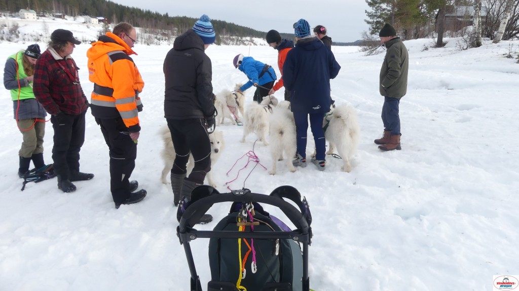 P1100577_resultat.jpg
