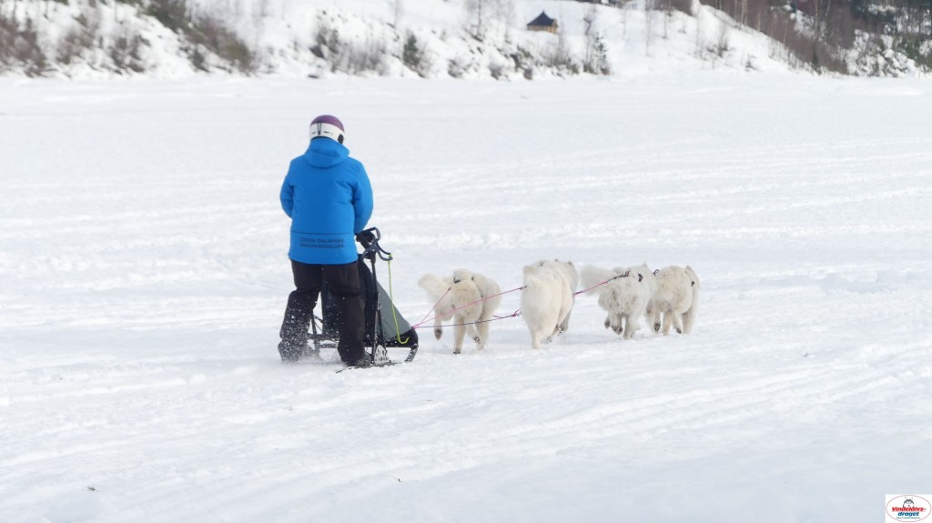 P1100579_resultat.jpg